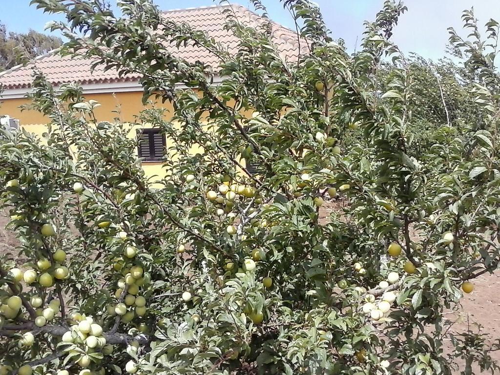Casa Fatima Valle Gran Rey Pokoj fotografie